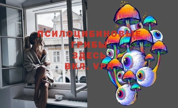 твердый Алексеевка
