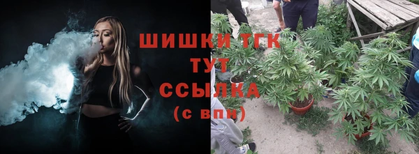 бошки Алзамай