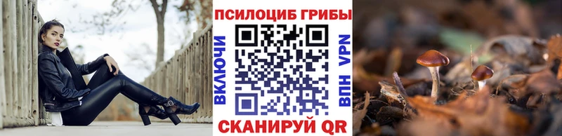 Галлюциногенные грибы прущие грибы blacksprut маркетплейс Дубна